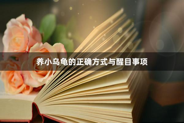 养小乌龟的正确方式与醒目事项
