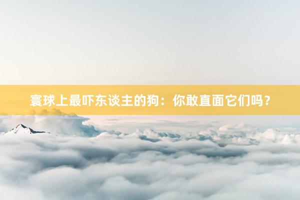 寰球上最吓东谈主的狗：你敢直面它们吗？